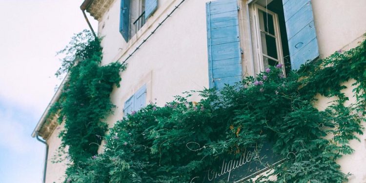 Liquidación Anticipada